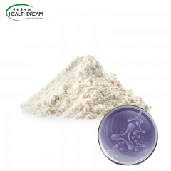 Bifidobacterium Lactis