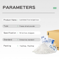 Lactobacillus Bulgaricus powder