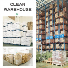 Lactobacillus Reuteri Powder