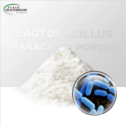 Lactobacillus Paracasei powder