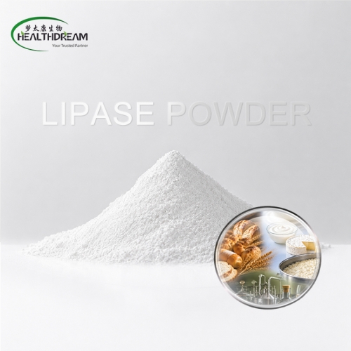 Lipase Powder